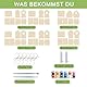 QITIXI:OU 6 Stück Vogelhaus Bausatz für Kinder, DIY Holz Vogelhaus zum Bemalen Mit Farbform, Basteln zu Bauen und Malen, DIY Set Bastelset, Vogelhäuschen Bausatz Spielzeug Geschenke