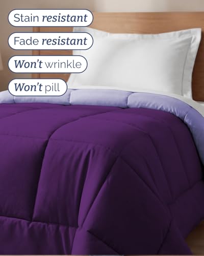 Image of Twin Size, Purplec & Lavender Alternative Down Comforter - Warm, Lightweight & Breathable Hotel Quality Bedding Set for Men, Women, Kids & Teens - All Season Cooling Microfiber Duvet Insert Comforter