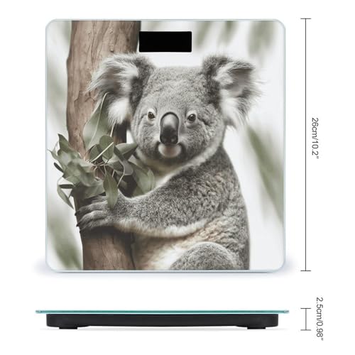 Báscula Digital Koala para Peso Corporal con Pantalla LCD miniatura 2