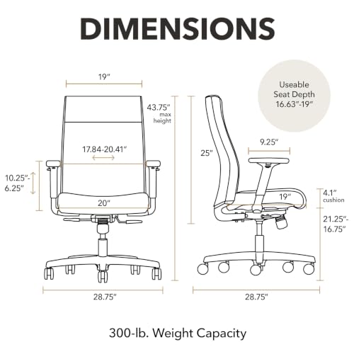 Image of HON Ignition 2.0 Ergonomic Office Chair, Lumbar Support, Desk Chair, Indigo