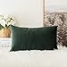 MIULEE Aksamitna poszewka na poduszkę, na kanapę, poduszka dekoracyjna, poszewki na poduszki z ukrytym zamkiem błyskawicznym, do sypialni, salonu, 30 x 50 cm, 1 szt., ciemnozielona