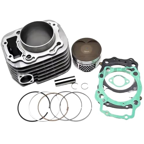 MNEVZX - Culasse Kit de révision et de reconstruction de cylindre 250cc pour Honda CB250 Twister ABS CRF250F, alésage 79mm Culasses de cylindre pour moto