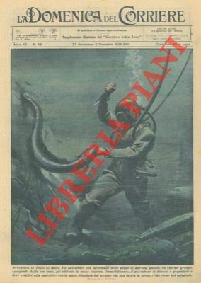 Enorme grongo aggredisce un palombaro al lavoro