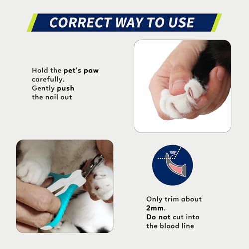 Image of WePet Pet Nail Clippers U07.1, Professional Claw Trimmer, Bended Scissor Special for Cats, Kittens, Dogs, Puppies, Small Animals, White /Pine Green