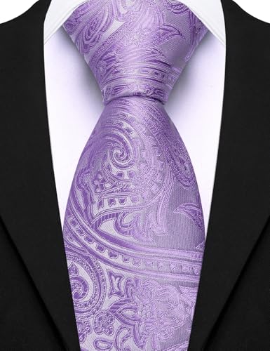 Image of Barry.Wang Paisley Tie for Men Silk Woven Necktie and Tie Clip Set Wedding Party Business Formal