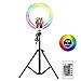 Vingtank LED Luce ad Anello per selfie da 10,2