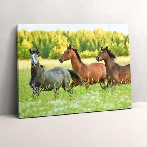 Tableaux 80x60cm de chevaux dans le pré pour sublimer votre salon