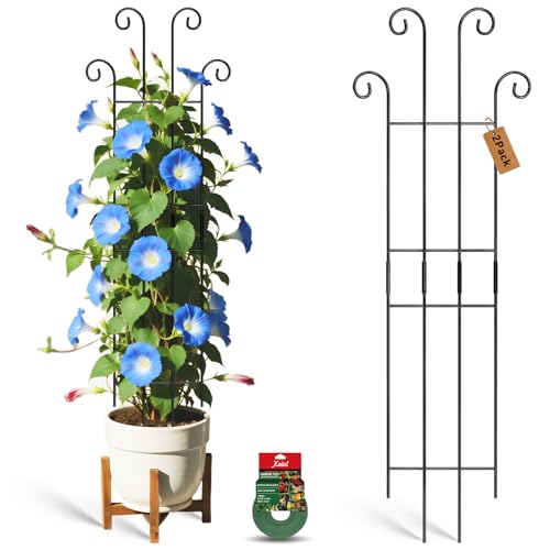 Xeeol 32.6in Tall Plant Trellis Indoor, Metal Garden Trellis for Climbing Plants, Expandable Trellis for Potted Plants for Ivy Pothos Hoya Monstera, 2 Pack
