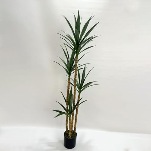 [LJKI] tFCNO[ bJ̖ ϗt ^ A  170CM ϗtA A  lHϗt CeA 킢 ͂Ȃ  sv ȒP v[g 蕨 j JXj JƏj fR[V