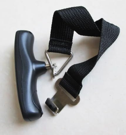 WH-A18 Digital Fish Scale 50kg/10g LED Display Portable Kitchen Balance Hanging Electronic Hook Scale