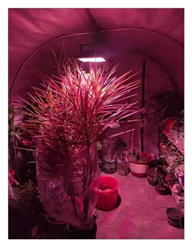UGLYAF 植物育成ライト ソーラー LED 成長ライトフルスペクトル投光器屋内屋外植物用リモート防水 Phytolamp 植物成長ライト フルスペクトル調光設計 の商品画像 4