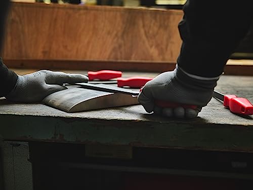 F. Dick Feilengriff (Bohrung: 10 mm; Länge: 120 mm; Feilen: 250 - 300 mm; Kunststoff) 4191