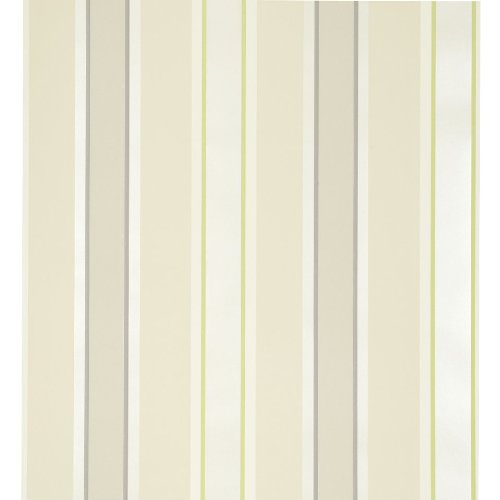 Preisvergleich Produktbild iLiv Streifen Flexo Tapete, Chartreuse