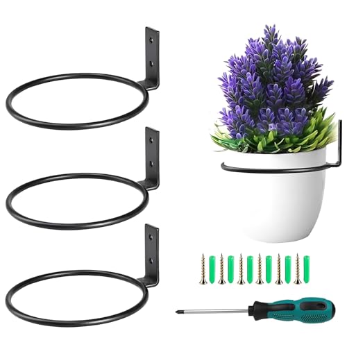 Liwein 3 Stück Blumenampel Halterung 12.7cm Blumentopfhalter Wand Ring Deko Garten Vintage Haken Für Hängepflanze Wandmontage Pflanzen Pflanzenhalter für Haus Garten Balkon Schwarz