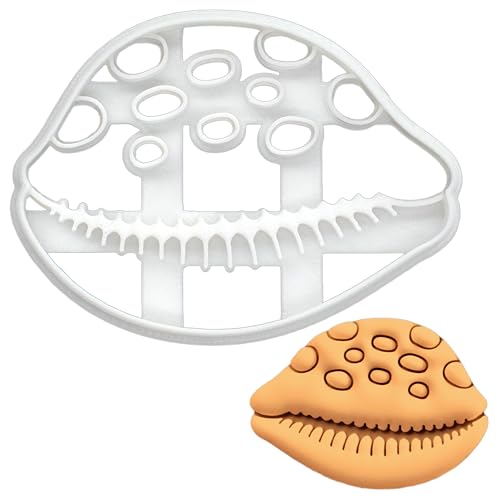 BAKERLOGY Cowrie Shell Cookie Cutter - Bake Nautical Beach Treats