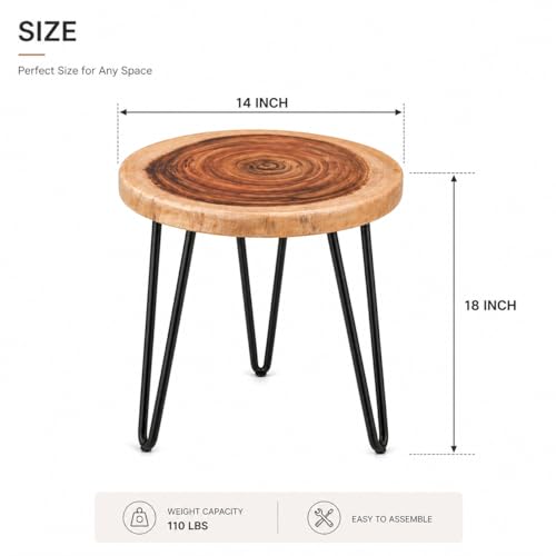 Image of Sheesham Wood Live Edge Side Table | Rustic Wooden End Table with Hairpin Metal Legs | Solid Tree Slice Coffee Table for Living Room, Bedroom 14'' Top x 18'' H