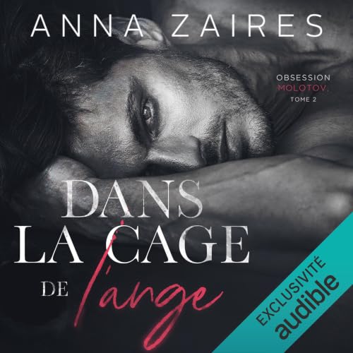 Dans la cage de l'ange cover art