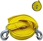 Heavy Duty Tow Strap with Solid Metal Hooks, 10,000lbs Woven Polyester Webbing 2' x20' Tow Strap for Cars Trucks Jeeps Boats Trailers Securing Items and Farm Cleaning