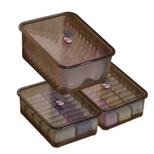 RITERS 3-Pack Stackable Underwear Organizer with Clear Lid