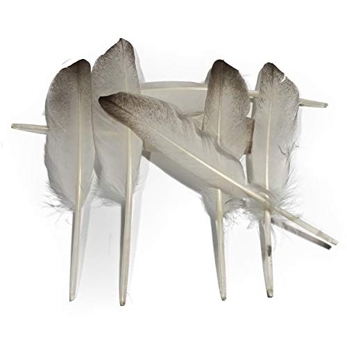 Lampu Nature 7-9Inch Duck Wing Feathers For Arts And Crafts, White/Grey Per Pack Of 10 #TOP7