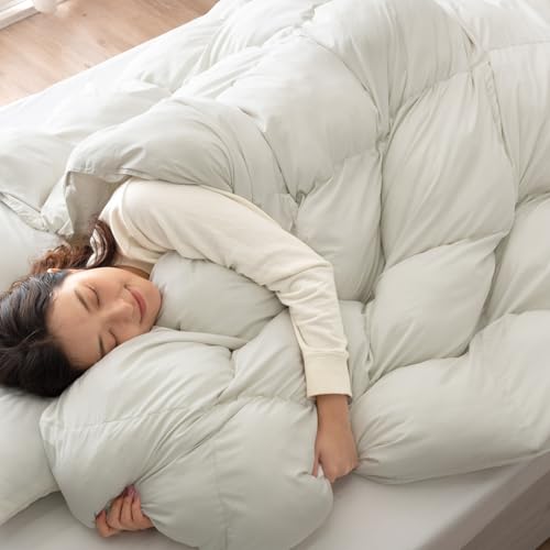 �^���X�̃Q�� �|���z�c �_�u���y�V�J���I���͂�A�H�ѕz�c�B�z�l�H�H�� ���ȏ[�U��1.25kg �������x ���n �h�_�j �g���� �~�p �|���ӂƂ� �􂦂� ������� 80100183(109176)