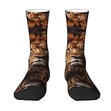 XZDWPY The Lion's Gaze Unisex Mid-Calf Socks White Polyester Skin-Friendly Moisture-Wicking Fashionable Crew Socks