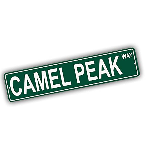 Brotherhood Aluminum Street Sign for Camel Peak - Colorado Man Cave Decor