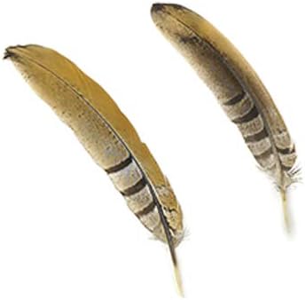 ZUCKER Pheasant Tail Feather Craft Supplies - 6-8" Natural Golden Brown Home Decor 12pcs