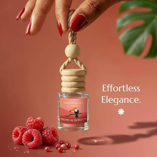 Image of Soul & Scents 16ml Luxury Car Perfumes Raspberry | Tropical Horizon | 2-in-1 Hanging Pod & AC Vent Air Freshener | Premium Wooden Car Fragrance Accessory | Long Lasting Odour Eliminator | Pack of 2