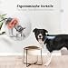 Hundenapf Erhöht Futternapf Hund Keramik - rutschfeste Fressnapf mit Metallständer - Ideal für Mittelgroße und Große Hunde - 1600 ml - Beige