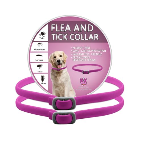 BKEPDY Collar Antiparasitario contra Pulgas y Garrapatas para Per...