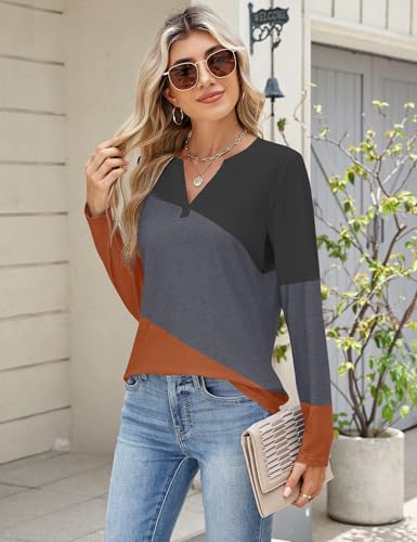 Micoson Women's Long Sleeve Tops Dressy Casual Fall Clothes Fashion 2025 V Neck Clothing Color Block T Shirts2