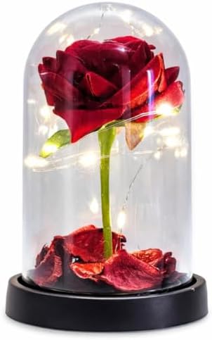 Rosa Vermelha Preservada em Cúpula com Luz de LED Presente Românt...