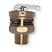 Safety Relief Valve,3/4 in,5 psi