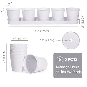 SCANDINORDICA White Herb Planter–5 Pots with Drainage Holes and Tray Windowsill Planter Indoor Planter Outdoor Herb Pots for Indoor Plants