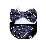 Dubulle Mens Blue White Striped Paisley Bowtie Set Pre-tied Bowtie for Men and Pocket Square Set Wedding Business
