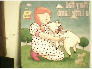 Paperback Mary Had a Litle Lamb: A Peek & Play Board Book