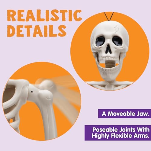 Image of JOYIN 5 PCS Posable Halloween Skeleton Decor 16 Inches, Full Body Movable Joints Posable Skeleton, Hanging Skeletons for Halloween Decoration, Home Yard, Graveyard, Haunted House, Spooky Scene