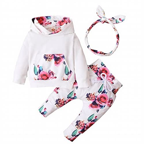 3er Pack Baby Mädchen Baby Kapuzen Tops Sweatshirt Hosen Set Kleidung Winter Mädchen Baby Kapuzen Sweatshirt Set Babykleidung