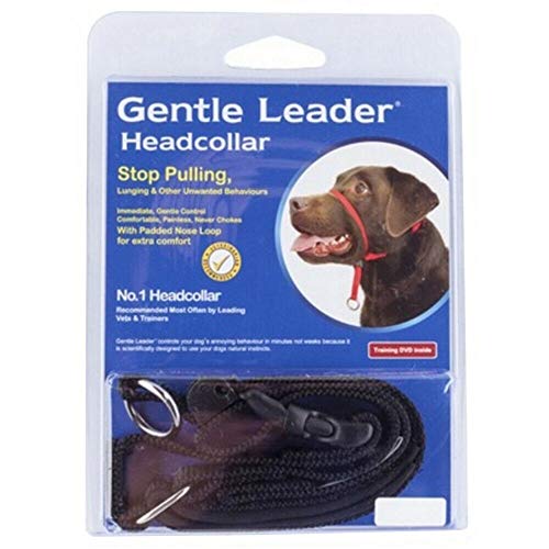 dog head collars