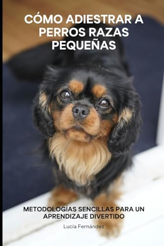 Cómo Adiestrar a Perros de Razas Pequeñas: Metodologías Sencillas para un Aprendizaje Divertido