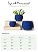LE TAUCI Plant Pots, 4.1+5.1+6.5 inch, Set of 3, Ceramic Planters with Drainage Hole and Saucer, Indoor Flower Pot with Hole Mesh Pad, Gifts for Mom, Sapphire Blue