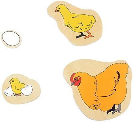 Miniatura 4 de Danni Montessori - Rompecabezas de madera para niños pequeños, ciclo de vida de gallina, huevo, incubación, crecer, caricaturas, rompecabezas de