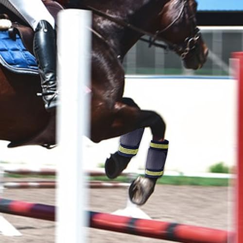 Vendas para caballos en el entrenamiento diario protegiendo tendones y menudillo en pista 3