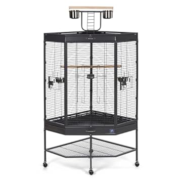 best bird cages with playtop that pet owners are raving about 1 best bird cages with playtop