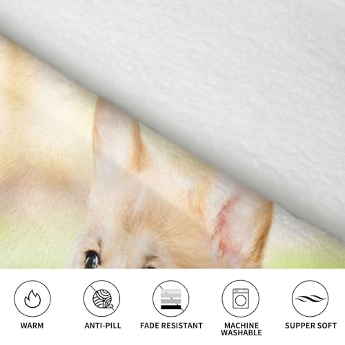 Couverture à capuche Corgi, le cadeau idéal pour femme