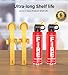 AmzBoom 2-Pack Fire Extinguisher Kit,Compact ABCK Spray for Home, Kitchen, Car, Grill | Eco-Friendly, Anti-Reignition | Mounting Bracket.
