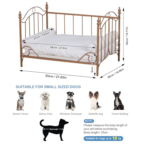 Pet Bed, Dog Bed with Metal Frame and Detached White Velvet Cushion with 2 Pillow for Small Dog - Image 3