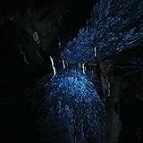 immagine banner Amazon