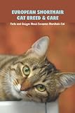 European Shorthair Cat Breed & Care: Facts and Quizzes About European Shorthair Cat: European Shorthair Cat